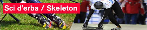 Sci d'erba