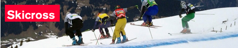 Skicross